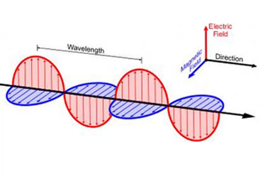 Electromagnetic Wave has 2 components